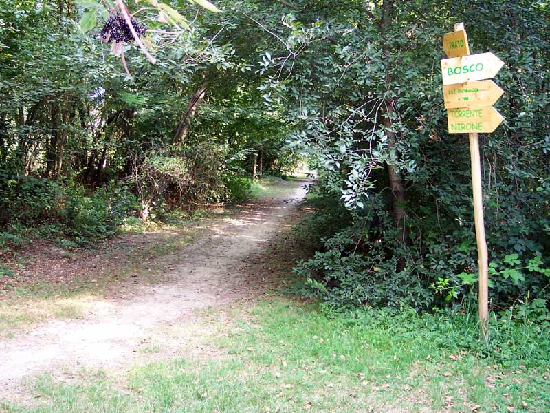 Oasi WWF di Caloggio