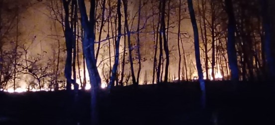 Clima secco un primo incendio nel parco spento da vigili del fuoco e volontari