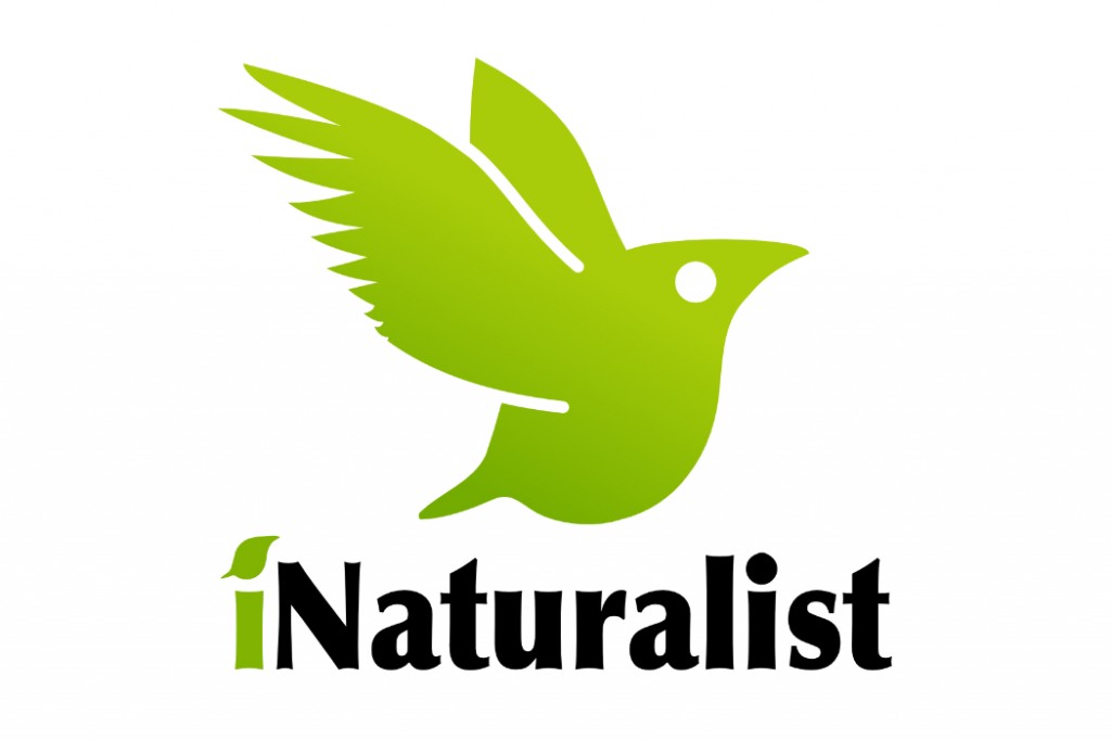 iNaturalist (1)