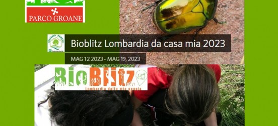 Da casa e da scuola, due modi per partecipare da oggi, 12 maggio, al Bioblitz