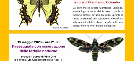 Farfalle notturne, appuntamento domani a Seveso