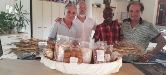 Il grano monococco del Parco delle Groane