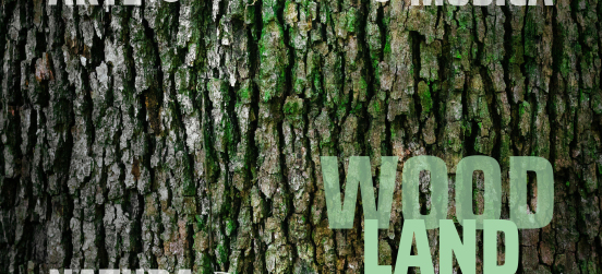 Al Parco delle Groane arriva Woodland