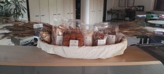 Rinviato Groanetasting, la tavola rotonda sul “gusto”