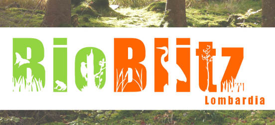 Il programma del BioBlitz del Parco Groane