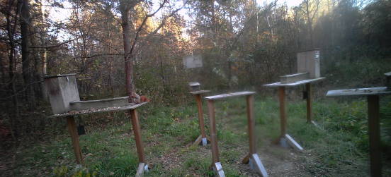 Monitoraggio scoiattolo: i risultati 2017 e 2018