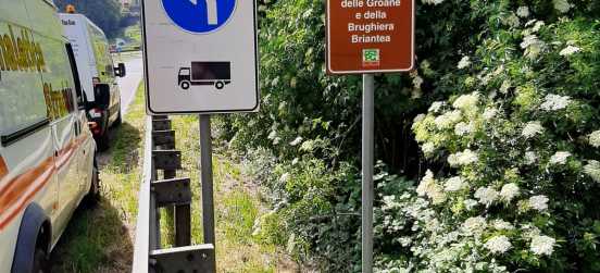 Revisione della segnaletica perimetrale del Parco