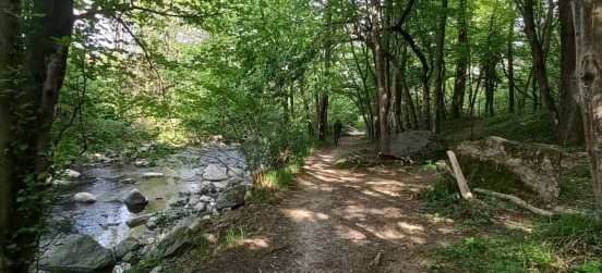 TAGLIO DEI BOSCHI, LE GEV A LEZIONE NEL PARCO