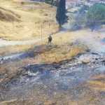 WhatsApp Image 2022-07-31 at 13.43.26 (1)