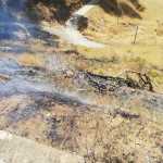 WhatsApp Image 2022-07-31 at 13.43.26 (4)