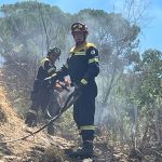 WhatsApp Image 2022-08-02 at 15.38.48