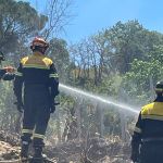 WhatsApp Image 2022-08-02 at 15.38.49