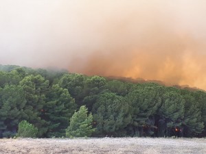 WhatsApp Image 2023-07-26 at 09.48.57 (1)