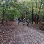 WhatsApp Image 2023-11-07 at 11.23.12