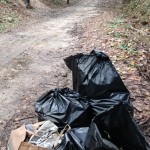 WhatsApp Image 2023-11-07 at 11.23.32