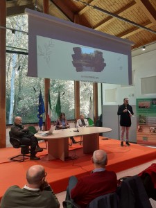 WhatsApp Image 2023-11-08 at 16.08.59