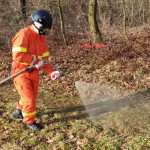 WhatsApp Image 2024-02-05 at 22.00.57 (1)