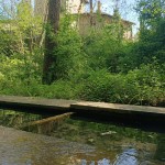 WhatsApp Image 2024-04-14 at 12.41.03