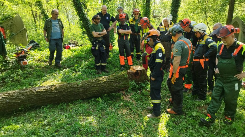 WhatsApp Image 2024-04-14 at 17.54.55 (1)