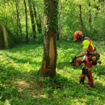 WhatsApp Image 2024-04-14 at 17.54.55 (3)