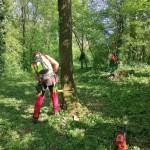 WhatsApp Image 2024-04-14 at 17.54.56 (1)