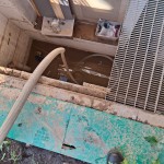 WhatsApp Image 2024-05-18 at 20.55.56