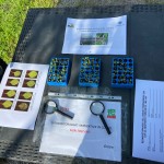 WhatsApp Image 2024-05-19 at 10.48.44