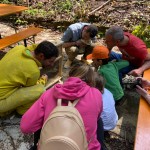 WhatsApp Image 2024-05-19 at 11.52.23