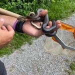 WhatsApp Image 2024-05-19 at 12.11.12