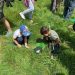 WhatsApp Image 2024-05-19 at 12.17.00