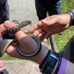 WhatsApp Image 2024-05-19 at 12.36.45 (1)