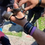 WhatsApp Image 2024-05-19 at 12.36.45