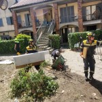 WhatsApp Image 2024-05-19 at 16.47.09 (3)