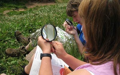 Farfalle, lucciole, api, anfibi e biomonitoraggio dell’ozono. Torna il Bioblitz al Parco delle Groane