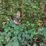 WhatsApp Image 2024-06-02 at 11.51.17 (2)