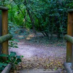 ponticello_parco_groane