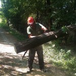 WhatsApp Image 2024-07-21 at 21.45.16 (1)