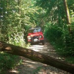 WhatsApp Image 2024-07-21 at 21.45.16