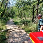 WhatsApp Image 2024-07-21 at 21.45.52