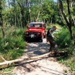 WhatsApp Image 2024-07-21 at 21.45.54