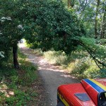 WhatsApp Image 2024-07-21 at 21.46.43