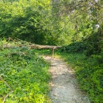 WhatsApp Image 2024-07-21 at 21.50.08