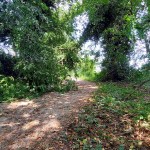 WhatsApp Image 2024-07-21 at 21.50.56