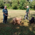 WhatsApp Image 2024-08-28 at 17.45.29 (11)