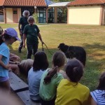 WhatsApp Image 2024-08-28 at 17.45.29 (13)