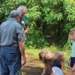 WhatsApp Image 2024-08-28 at 17.45.29 (14)