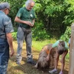 WhatsApp Image 2024-08-28 at 17.45.29 (15)