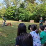 WhatsApp Image 2024-08-28 at 17.45.30 (1)