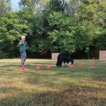 WhatsApp Image 2024-08-28 at 17.45.30