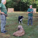 WhatsApp Image 2024-08-28 at 17.45.30 (2)